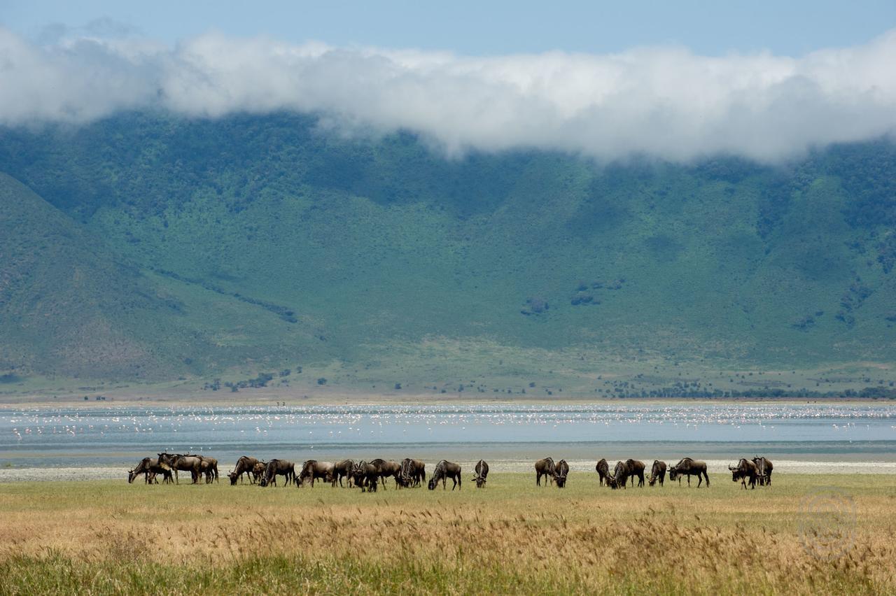 Ngorongoro Serena Safari Lodge Exterior foto